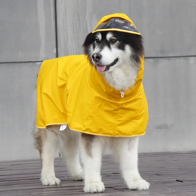 Regnjakke hund